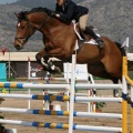 Campeonato Magdalena saltos hípica Poni Club Castellón