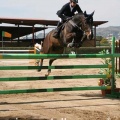 Campeonato Magdalena saltos hípica Poni Club Castellón
