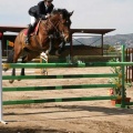 Campeonato Magdalena saltos hípica Poni Club Castellón