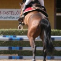 Campeonato Magdalena saltos hípica Poni Club Castellón