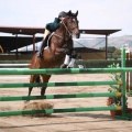 Campeonato Magdalena saltos hípica Poni Club Castellón