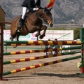 Campeonato Magdalena saltos hípica Poni Club Castellón