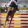 Campeonato Magdalena saltos hípica Poni Club Castellón