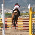 Campeonato Magdalena saltos hípica Pony Club Castellón