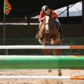 Campeonato Magdalena saltos hípica Poni Club Castellón