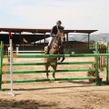 Campeonato Magdalena saltos hípica Poni Club Castellón