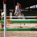 Campeonato Magdalena saltos hípica Poni Club Castellón