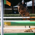 Campeonato Magdalena saltos hípica Poni Club Castellón