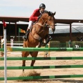 Campeonato Magdalena saltos hípica Poni Club Castellón
