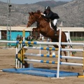 Campeonato Magdalena saltos hípica Poni Club Castellón