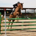 Campeonato Magdalena saltos hípica Poni Club Castellón