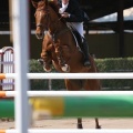 Campeonato Magdalena saltos hípica Poni Club Castellón