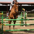 Campeonato Magdalena saltos hípica Poni Club Castellón