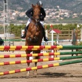 Campeonato Magdalena saltos hípica Poni Club Castellón