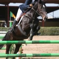 Campeonato Magdalena saltos hípica Pony Club Castellón