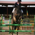 Campeonato Magdalena saltos hípica Poni Club Castellón