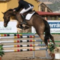 Campeonato Magdalena saltos hípica Poni Club Castellón