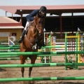 Campeonato Magdalena saltos hípica Poni Club Castellón