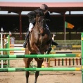 Campeonato Magdalena saltos hípica Poni Club Castellón