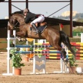 Campeonato Magdalena saltos hípica Poni Club Castellón