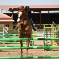 Campeonato Magdalena saltos hípica Poni Club Castellón