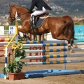 Campeonato Magdalena saltos hípica Poni Club Castellón