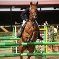 Campeonato Magdalena saltos hípica Poni Club Castellón