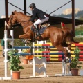 Campeonato Magdalena saltos hípica Poni Club Castellón