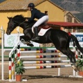 Campeonato Magdalena saltos hípica Poni Club Castellón