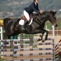 Campeonato Magdalena saltos hípica Poni Club Castellón