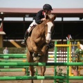 Campeonato Magdalena saltos hípica Poni Club Castellón
