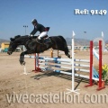 Campeonato Magdalena saltos hípica Poni Club Castellón