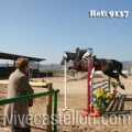 Campeonato Magdalena saltos hípica Poni Club Castellón