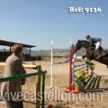 Campeonato Magdalena saltos hípica Poni Club Castellón