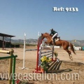 Campeonato Magdalena saltos hípica Poni Club Castellón