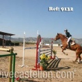 Campeonato Magdalena saltos hípica Poni Club Castellón