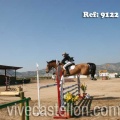 Campeonato Magdalena saltos hípica Poni Club Castellón