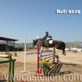 Campeonato Magdalena saltos hípica Poni Club Castellón