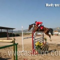 Campeonato Magdalena saltos hípica Poni Club Castellón