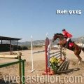 Campeonato Magdalena saltos hípica Poni Club Castellón