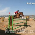 Campeonato Magdalena saltos hípica Poni Club Castellón