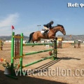 Campeonato Magdalena saltos hípica Poni Club Castellón