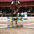 Campeonato Magdalena saltos hípica Poni Club Castellón