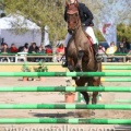 Campeonato Magdalena saltos hípica Poni Club Castellón