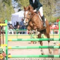 Campeonato Magdalena saltos hípica Poni Club Castellón