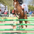 Campeonato Magdalena saltos hípica Poni Club Castellón