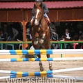 Campeonato Magdalena saltos hípica Poni Club Castellón