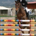 Campeonato Magdalena saltos hípica Poni Club Castellón