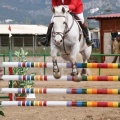 Campeonato Magdalena saltos hípica Poni Club Castellón