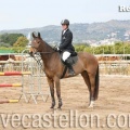 Campeonato Magdalena saltos hípica Poni Club Castellón